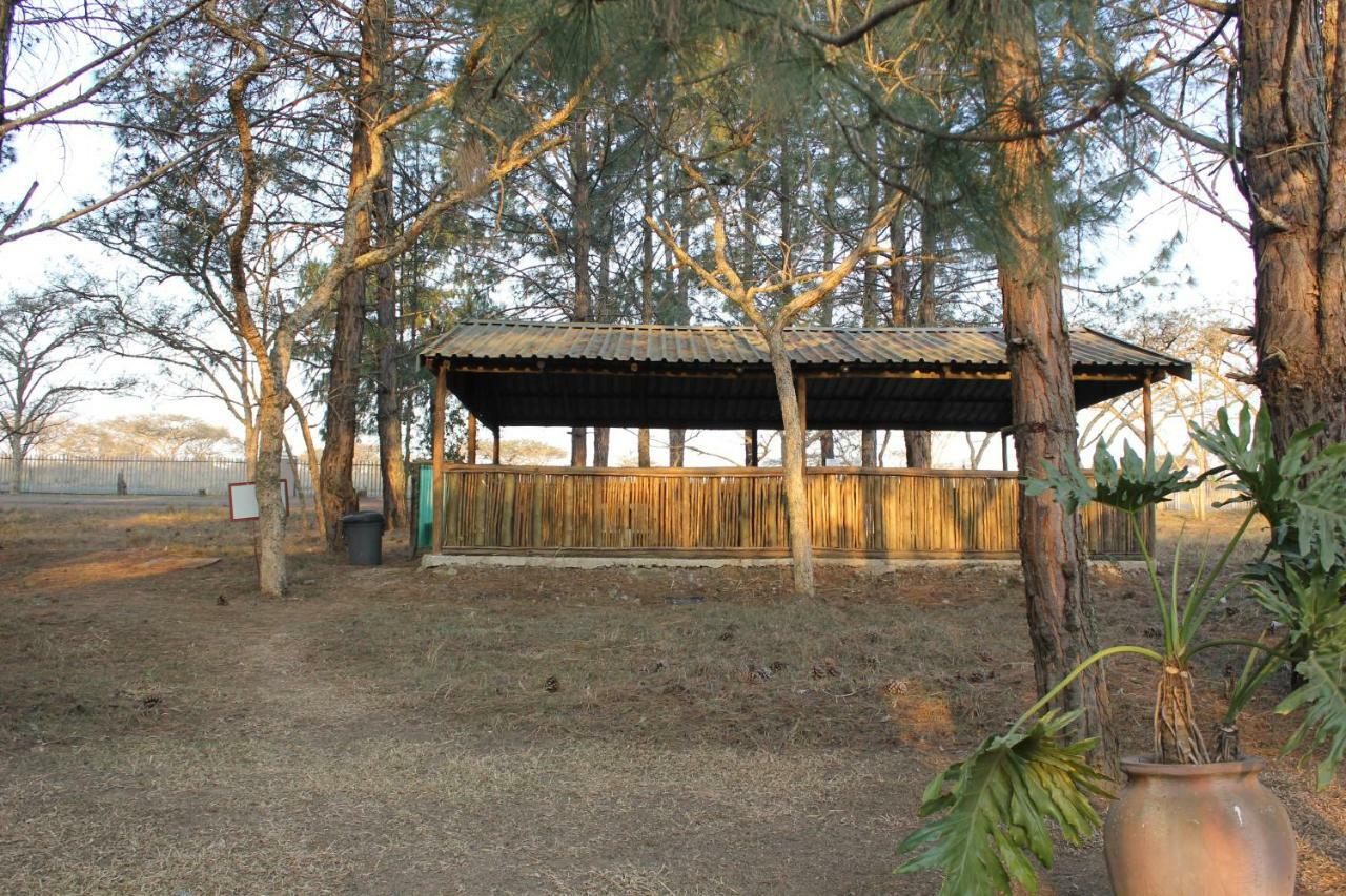 Acacia Bush Lodge Pietermaritzburg Dış mekan fotoğraf